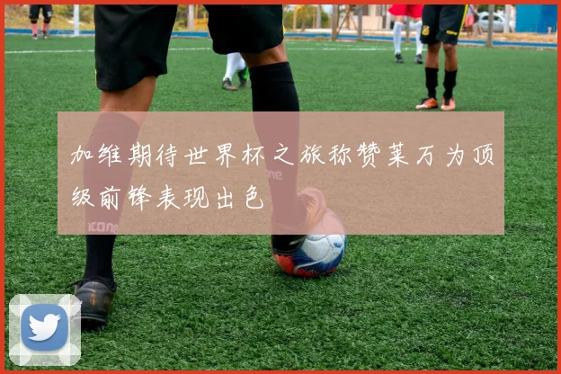 加维期待世界杯之旅称赞莱万为顶级前锋表现出色