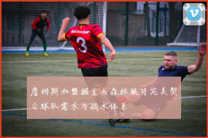 詹姆斯加盟掘金或森林狼将完美契合球队需求与战术体系