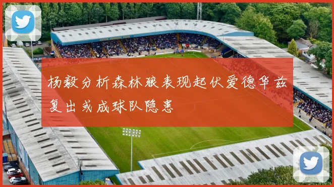 杨毅分析森林狼表现起伏爱德华兹复出或成球队隐患