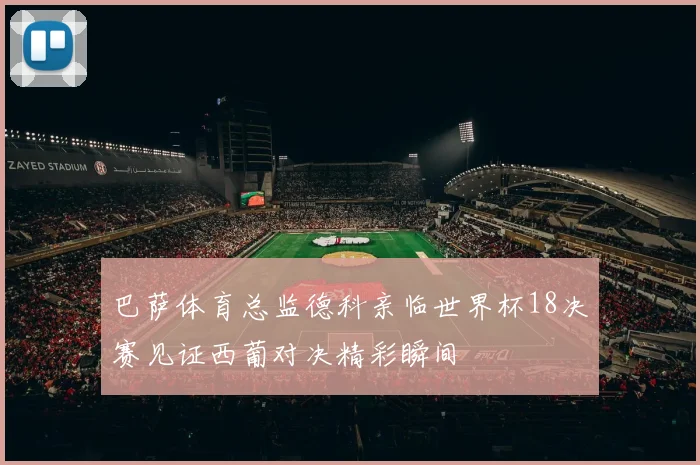 巴萨体育总监德科亲临世界杯18决赛见证西葡对决精彩瞬间