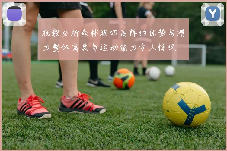 杨毅分析森林狼四高阵的优势与潜力整体高度与运动能力令人惊叹